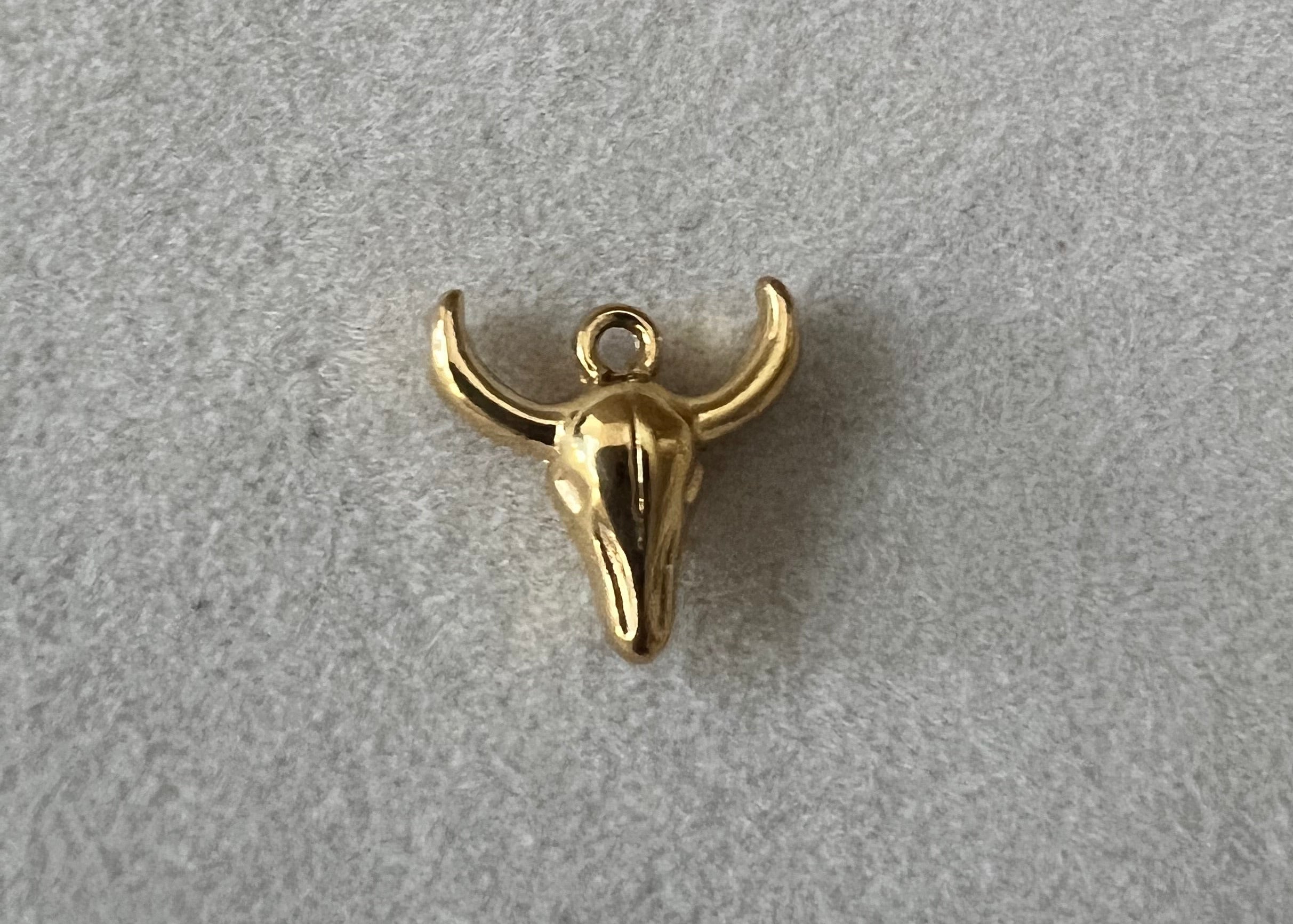The Longhorn
